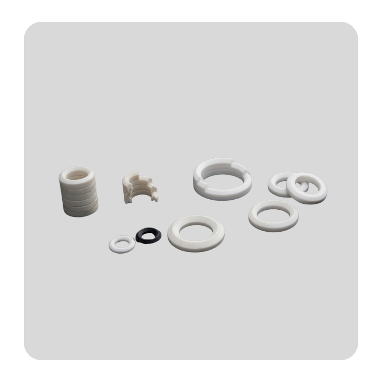 PTFE V-ring